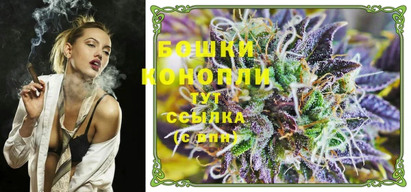 гидра Вязники