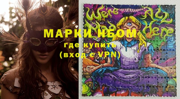 PSILOCYBIN Вяземский