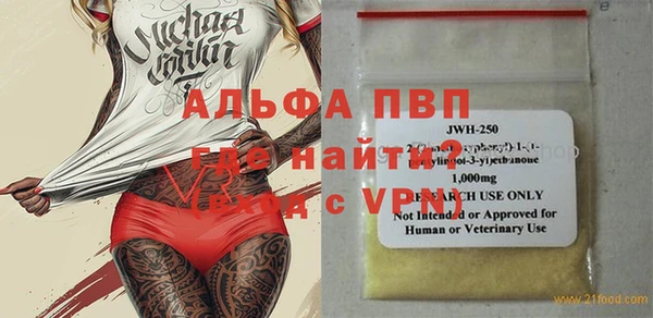 PSILOCYBIN Вяземский