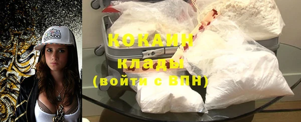 PSILOCYBIN Вяземский
