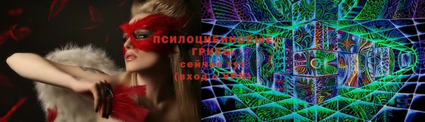 PSILOCYBIN Вяземский