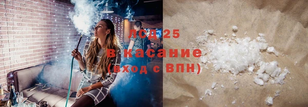 PSILOCYBIN Вяземский