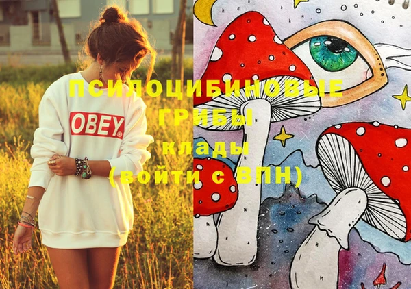 PSILOCYBIN Вяземский